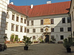grafika